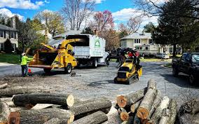 Best Lot and Land Clearing  in Lakeland South, WA